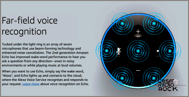 Having Trouble with Your Amazon Echo? Let Me Help You Out!