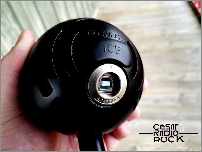 The only port the Blue Snowball iCE USB mic features.