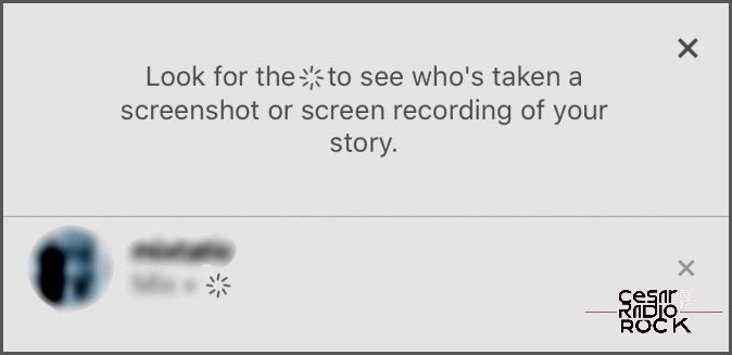 Instagram Story screenshot notification