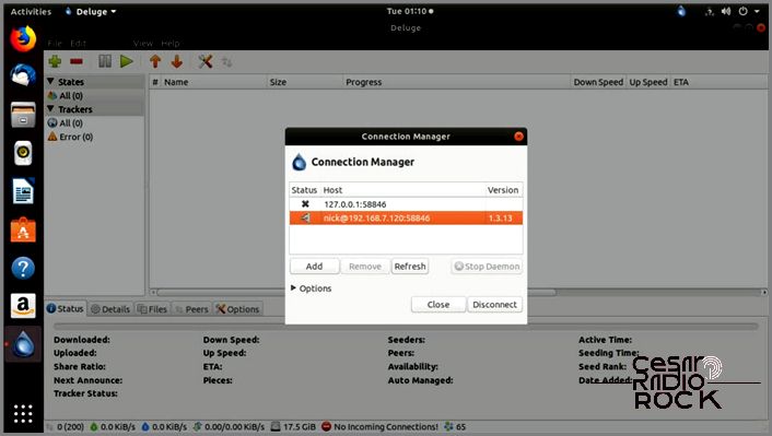 Deluge Connection Manager