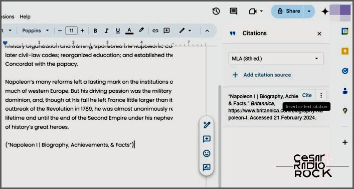 Added Citation as Text Google Docs