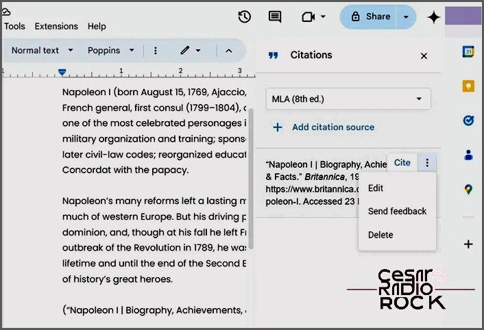 Delete Citation Google Docs