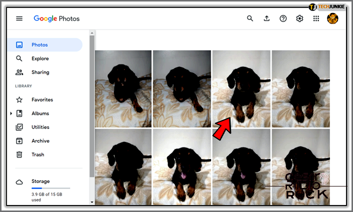 Adding Captions to Your Google Photos: A Simple Guide