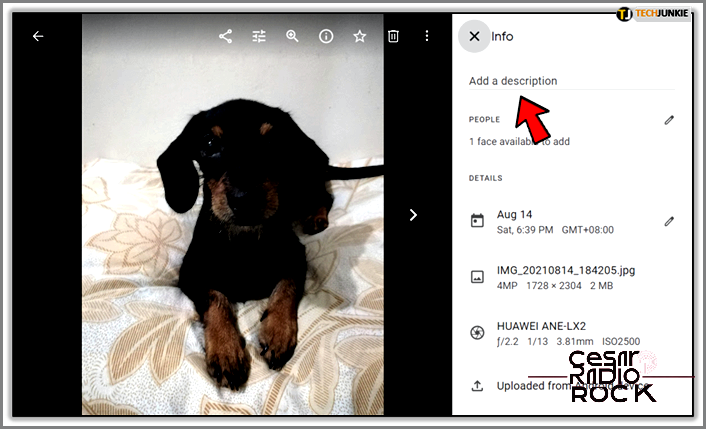 Adding Captions to Your Google Photos: A Simple Guide