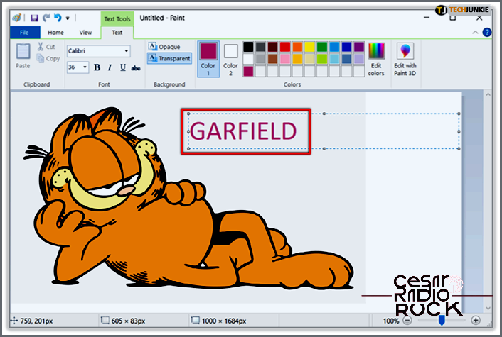 Learn to Enhance Your Text in MS Paint: Adding, Coloring, and Rotating