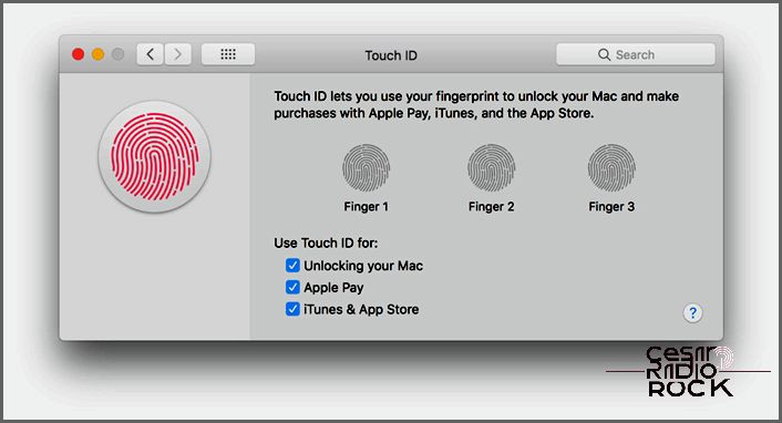add fingerprint mac