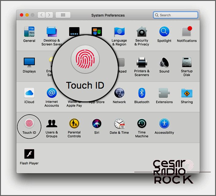 system preferences touch id