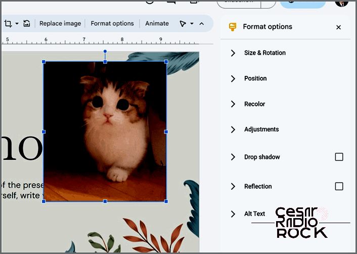 Formating of GIFs in Google Slides