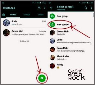 Whats App contacts