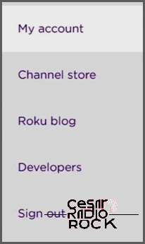 roku channel store