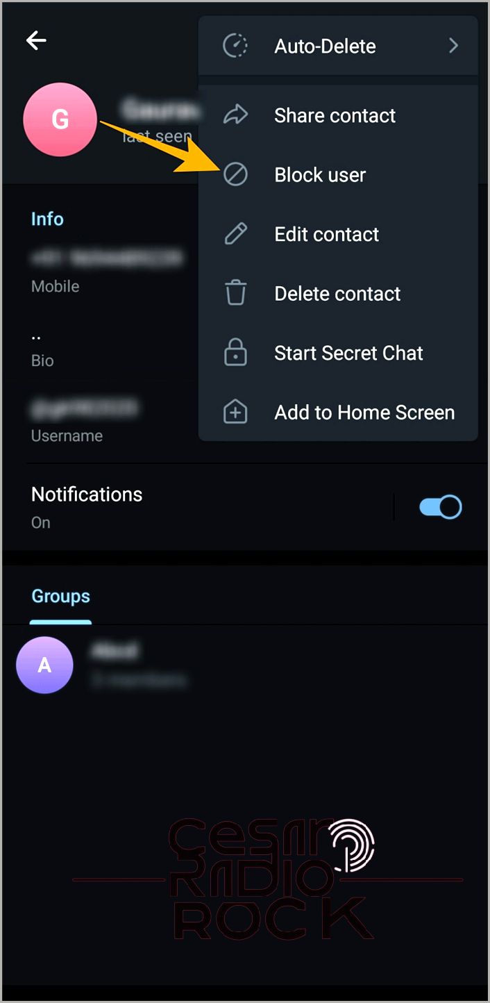 Telegram block user option on phone