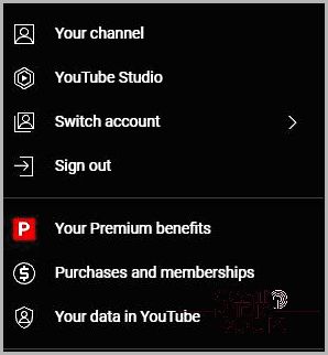 YouTube purchases and memberships