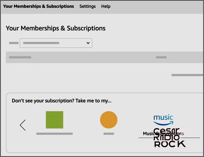 Amazon Music Subscription