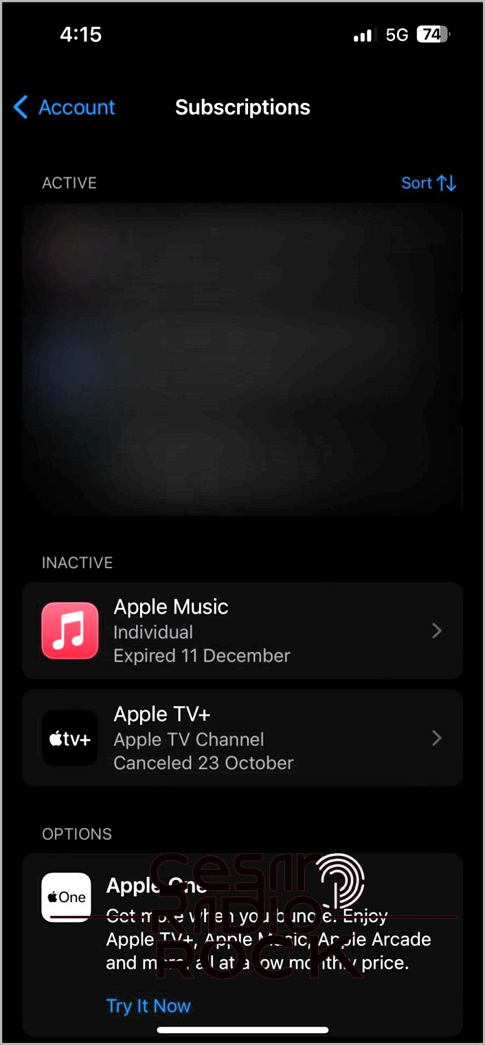 iPhone Active Subscriptions