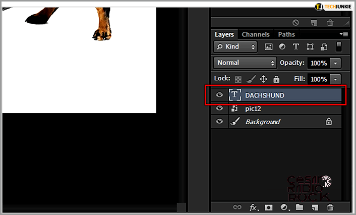 Transforming Text in Photoshop: A Step-by-Step Guide