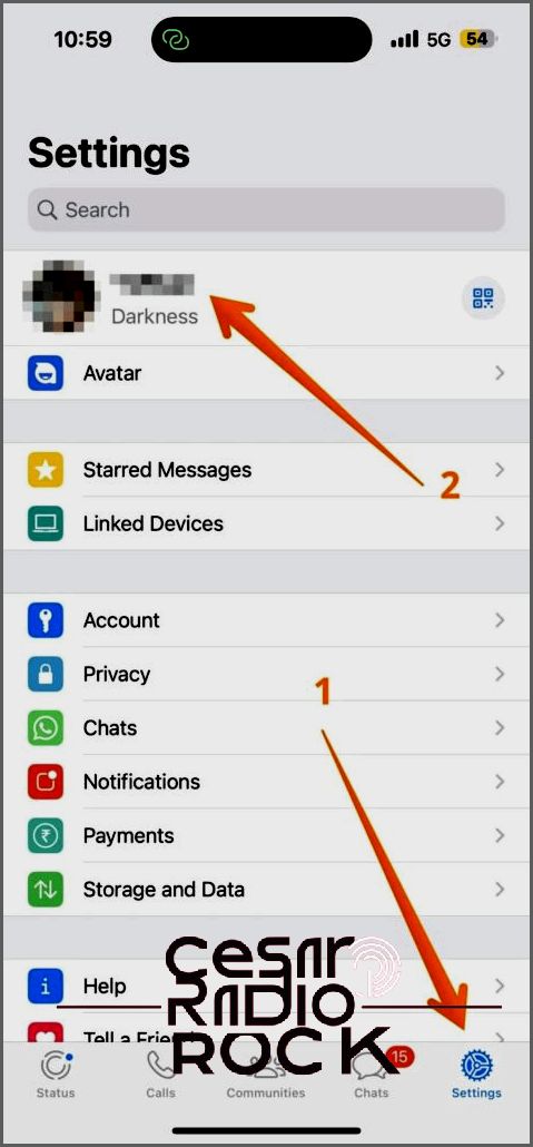 Open Settings on IPhone Whatsapp