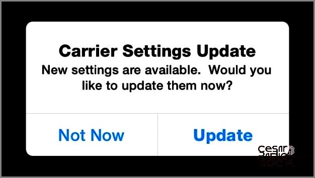 How to Check for a Carrier Settings Update on iPhone and iPad