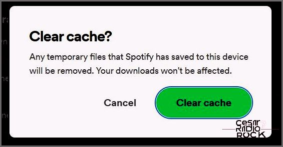 Spotify Clear cache button
