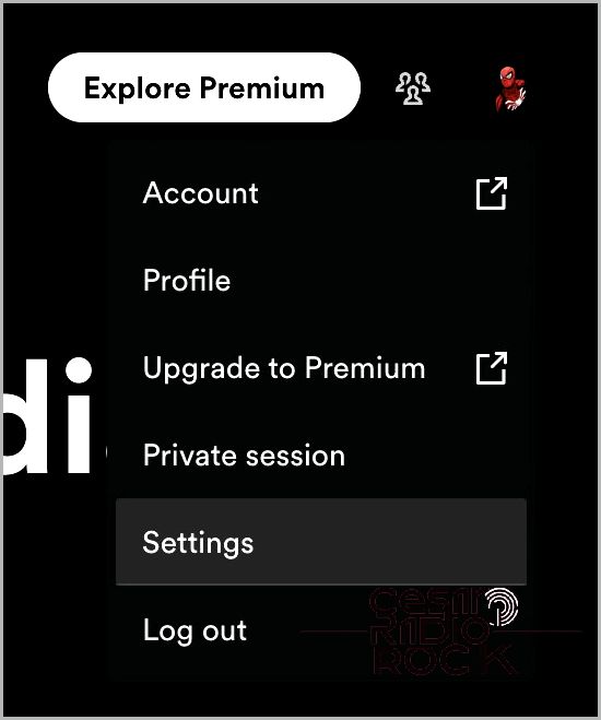 Spotify Settings option Mac