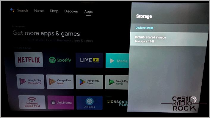Android TV Internal shared storage option