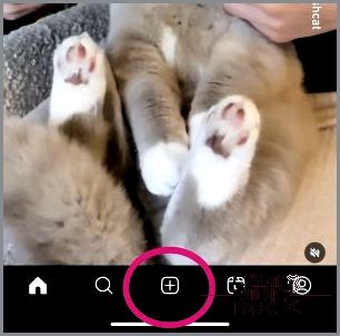 Instagram - showing the Create New Post button