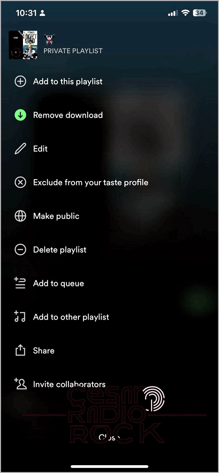 Spotify playlist on mobile