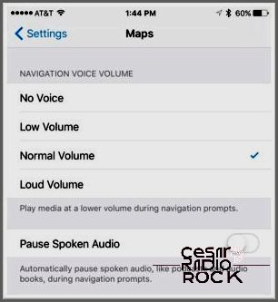 iPhone Settings Maps