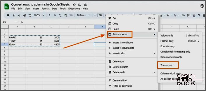 Paste Special Transpose Data