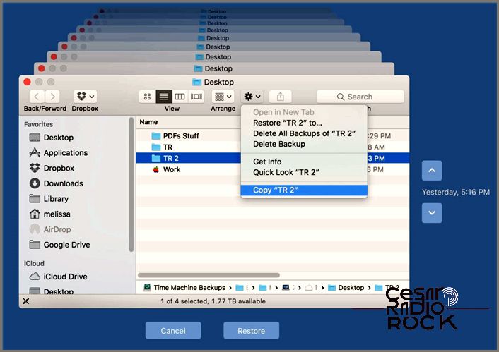 Copy Time Machine Backup Menu