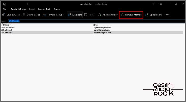 Removing member in email group on Outlook
