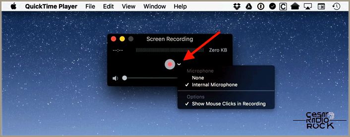 quicktime screen recording options