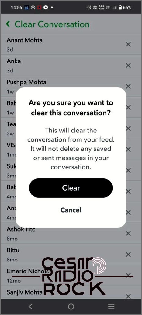 Clear Chat Conversations