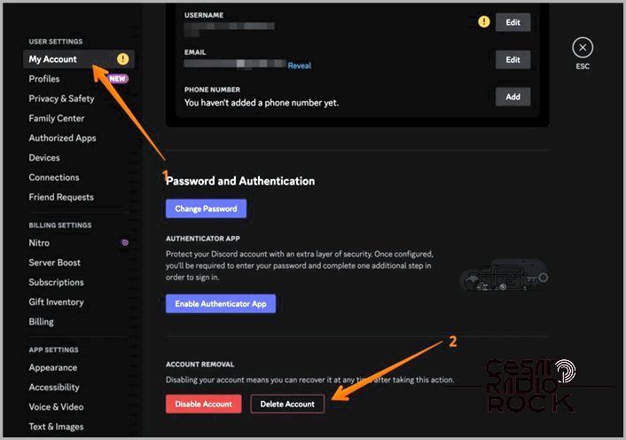 Delete Discord Account
