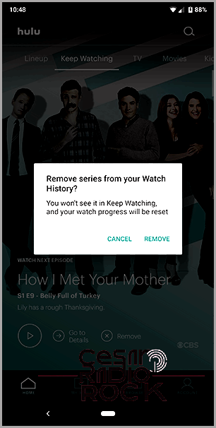 About Removing Your Viewing Activity on Netflix and Hulu