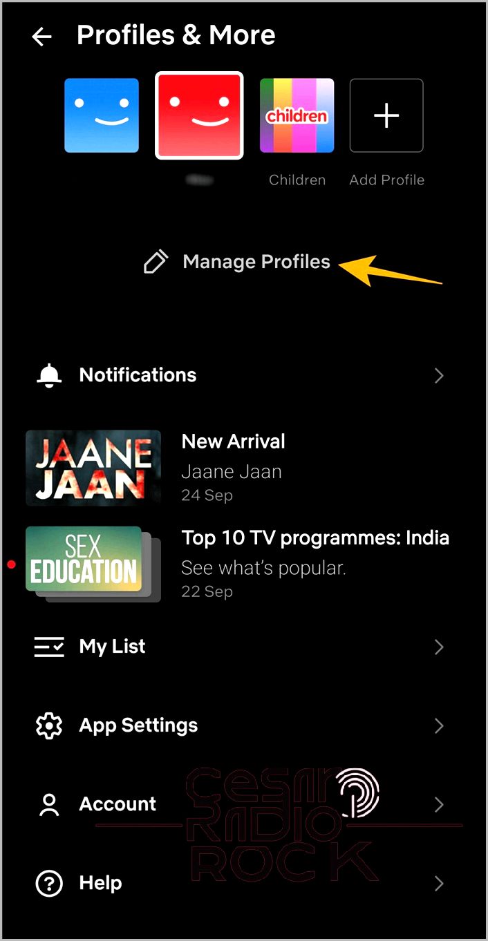 Manage profile option on Netflix Android app