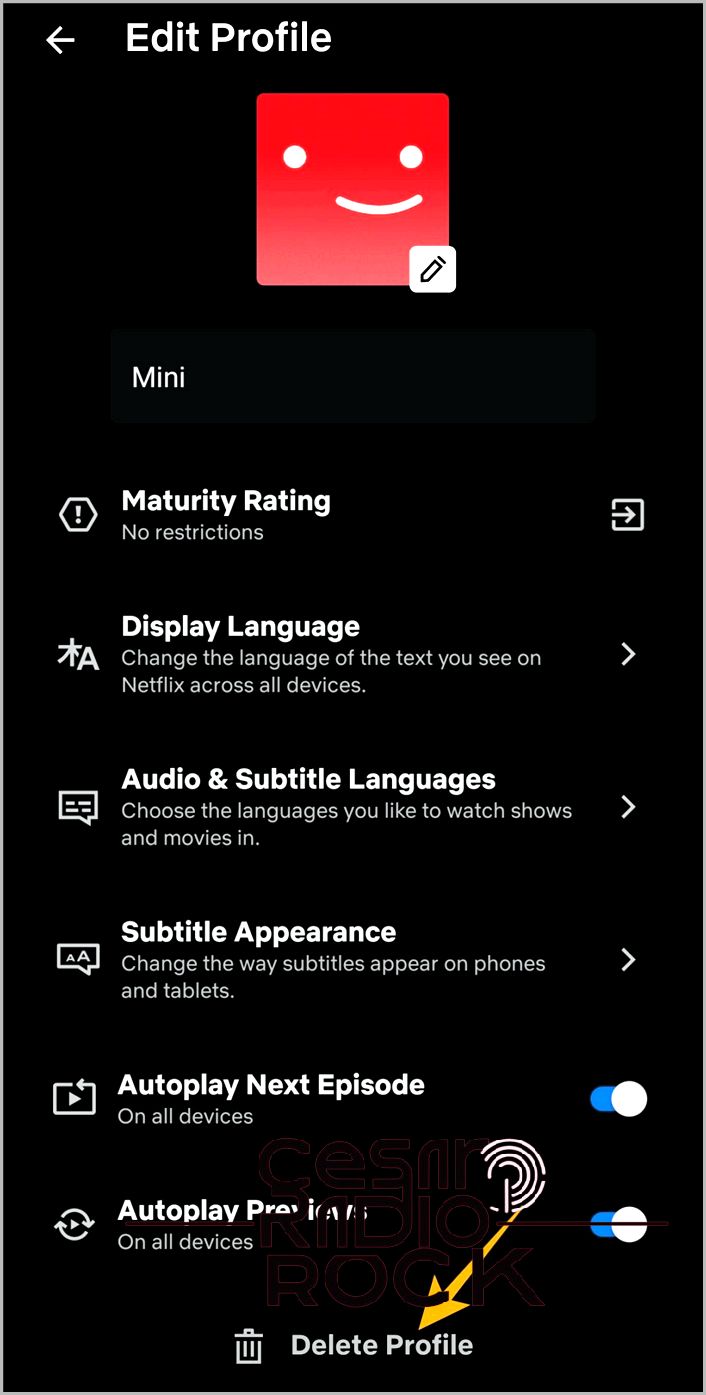 Delete profile option on Netflix Android app