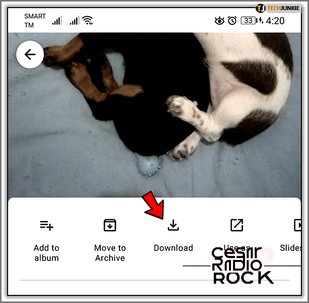 Deleting Photos from Google Photos on Your Device