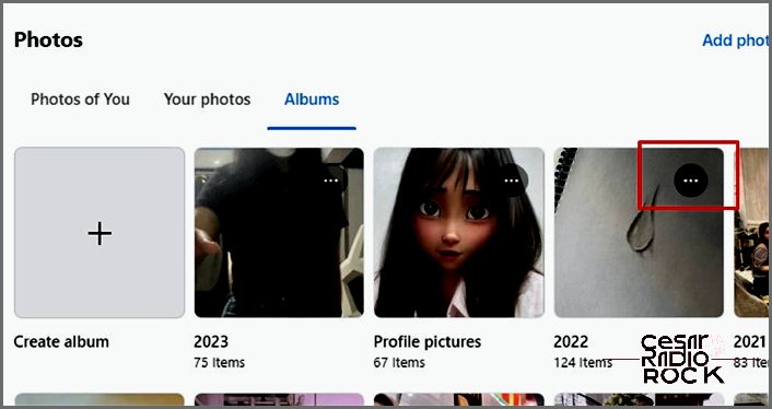 facebook website - showing ellipsis button from albums