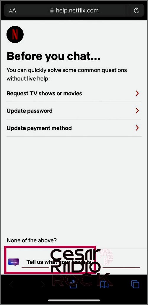 Netflix mobile app - showing Netflix customer service chat