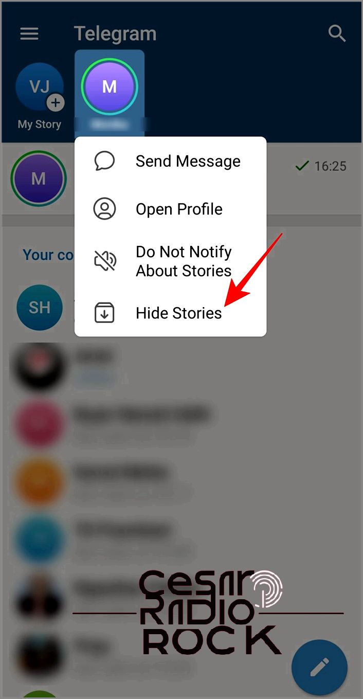 Hide Story option in Telegram app