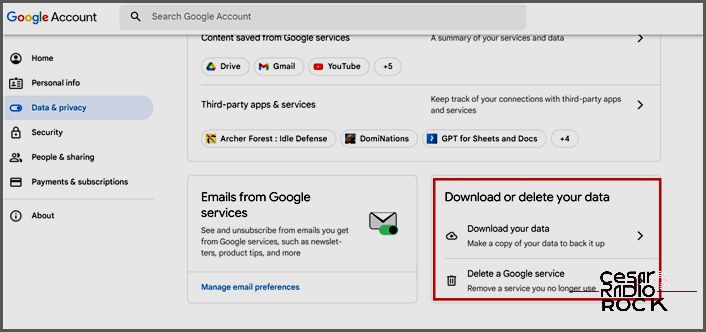 Google Download or Delete Your Data