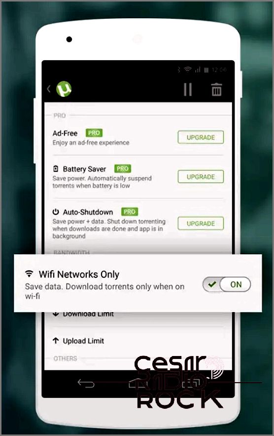 download torrents on to android