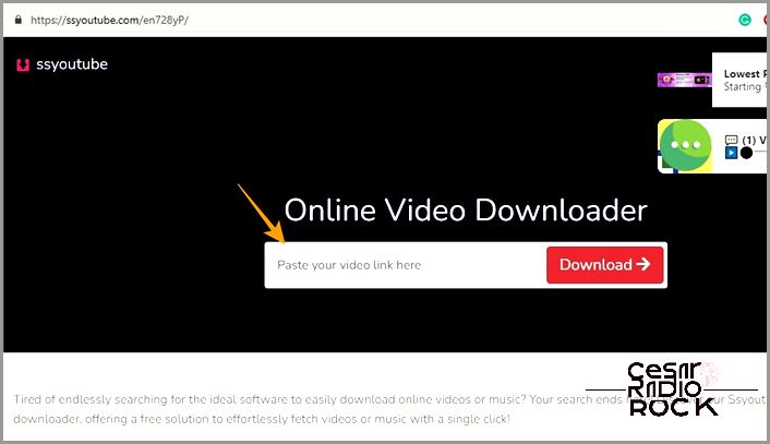 SS YouTube video downloader