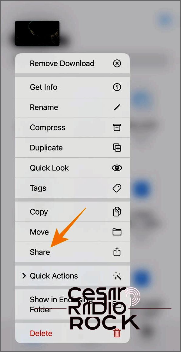 Video share option in iOS