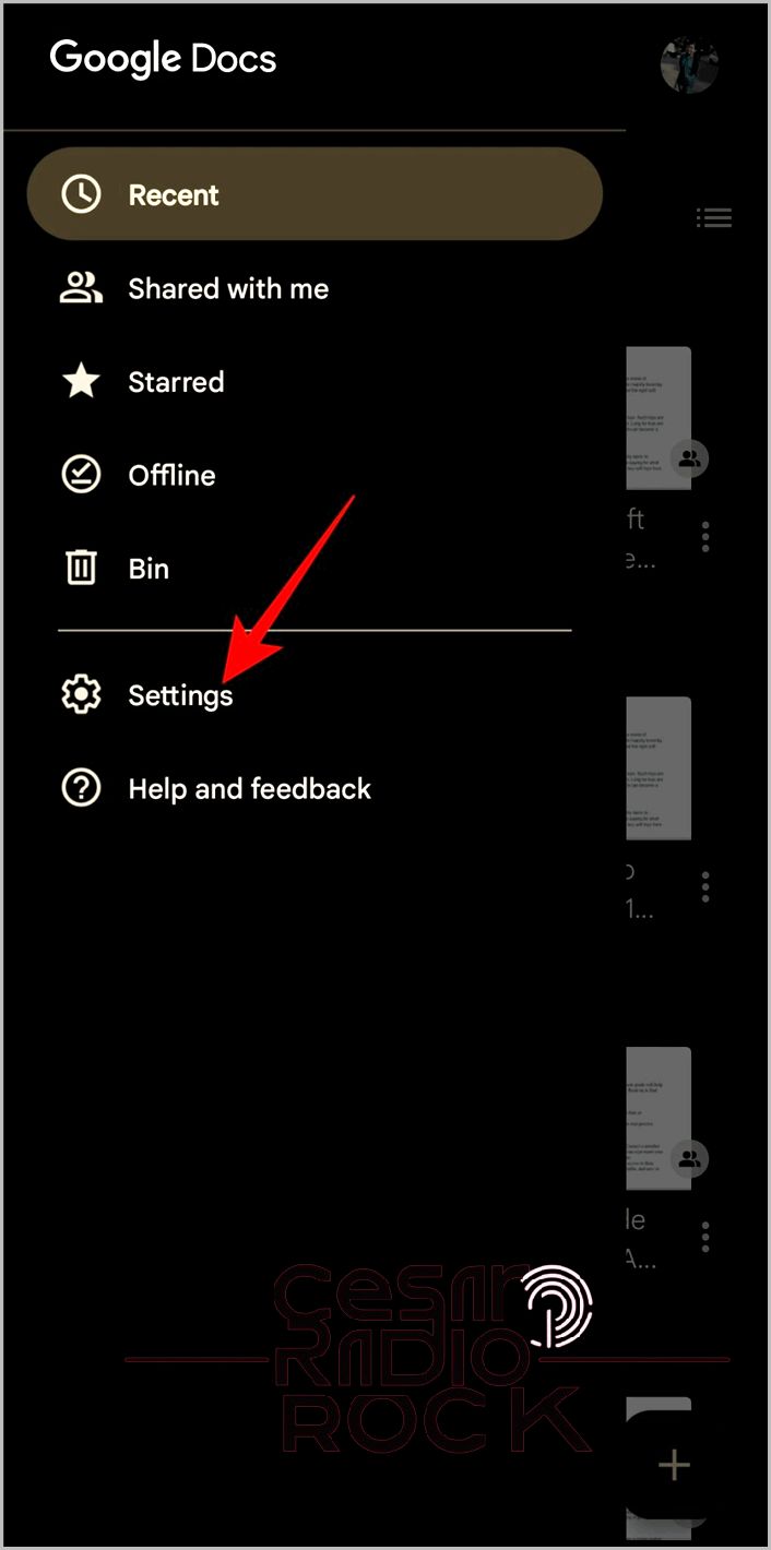 Settings in Google Docs Android App