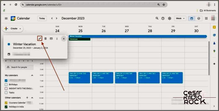 Make Available To Public Option Access Permisions For Events Google Calendar
