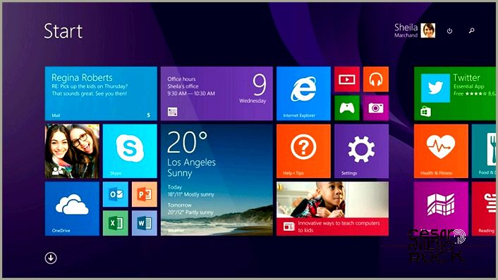 win 8