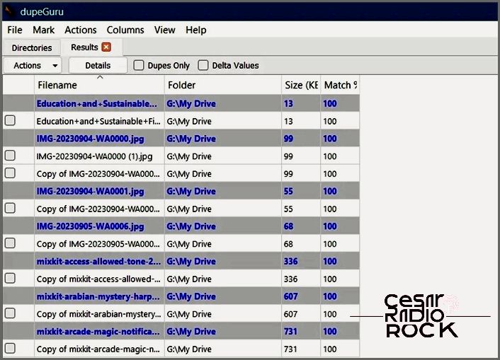 dupeGuru Duplicate File List