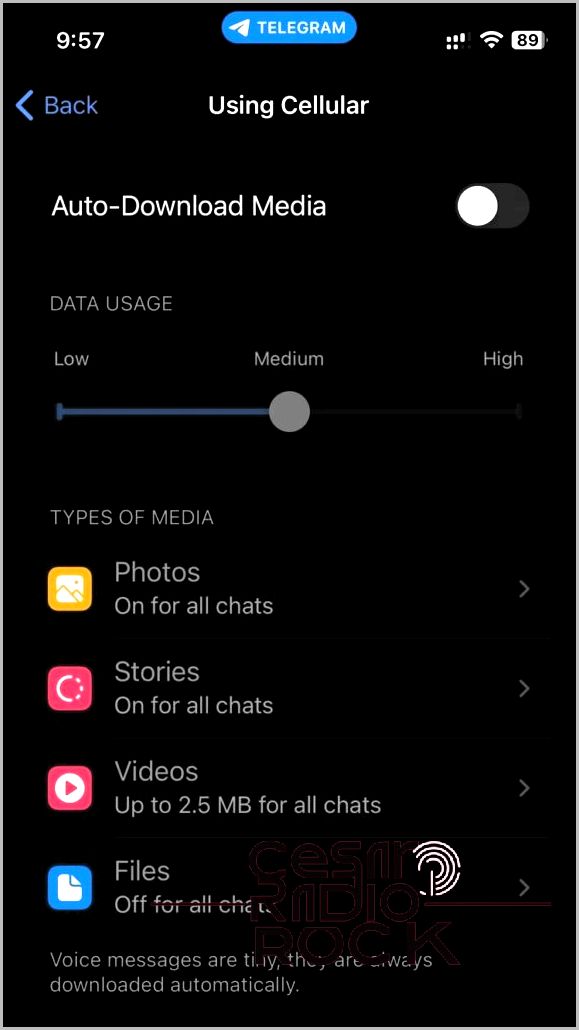 Telegram Find Disable Auto Download Media