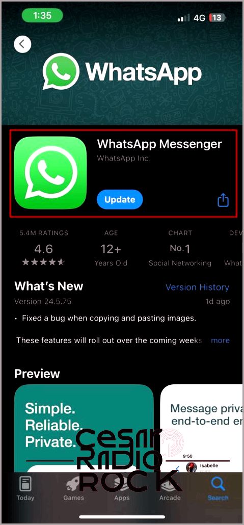 WhatsApp Update in App Store